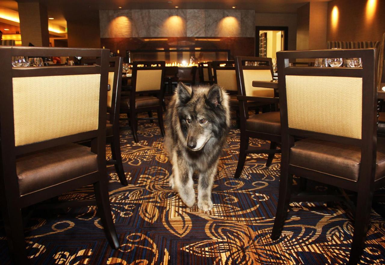 Jackson Rancheria Casino Resort Eksteriør billede